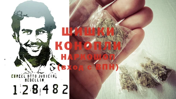 метадон Каменка